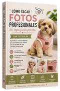 Cómo Sacar Fotos Profesionales de Ropa para Perros con tu Celular